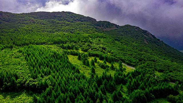 推動&ldquo;五大任務&rdquo;見行見效,突泉縣這樣做!